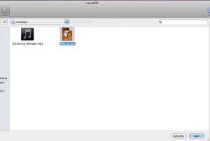 Si apre una finestra, da qui selezionare il file cue