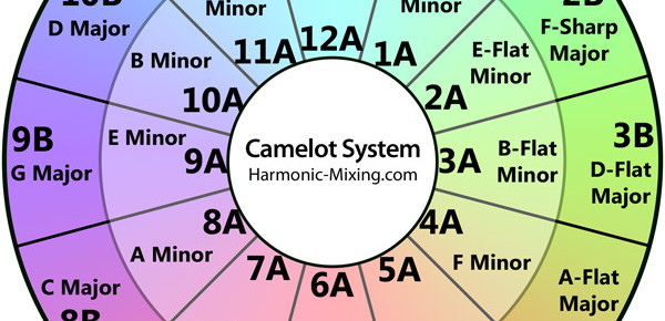 rutoa di camelot